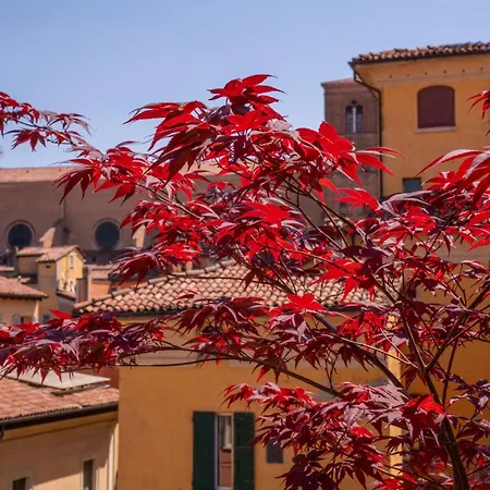 Nocleg ze śniadaniem Piazza Maggiore Santa Margherita Bolonia